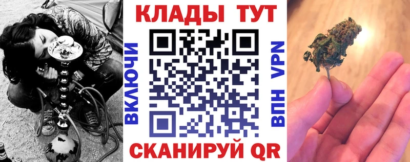 Как найти наркотики Ивангород ГАШ  Псилоцибиновые грибы  Меф мяу мяу  mega онион  APVP  Вейп ТГК 