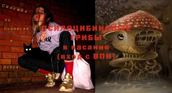 ПСИЛОЦИБИНОВЫЕ ГРИБЫ Алексин