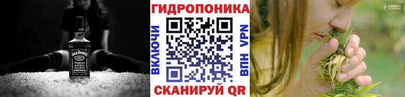 Конопля индика  это Telegram  Ивангород 